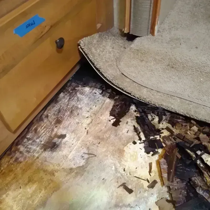 Wood Floor Water Damage in Springfield, NJ